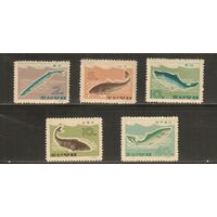 КНДР-1966(Мих.695-699) , **  , Морская  Фауна , Рыбы (полная серия)