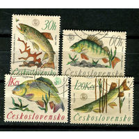 Чехословацкая Социалистическая Республика - 1966 - Рыбки - 4 марки. Гашеные.  (Лот 21JE)-TG2P5