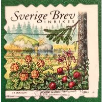 Швеция 2004. Лесные припасы. Ягоды