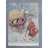 1955. Рачев. "Рукавичка"