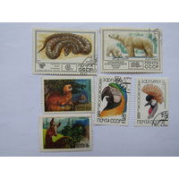 Фауна CCCР.