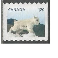 Канада. Детёныши дикой природы. 2014г. Mi#2884.