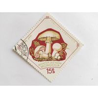 Монголия   1971  грибы