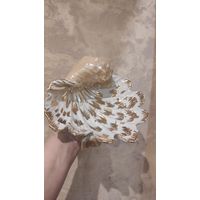 Красивая ракушка - ваза, большая, очень интересная. Увесистая, размер 24 на 23 см, высота 12 см. Советского времени, хорошее состояние. Сколов нет, есть естественные потертости "позолоты". В общем, пр