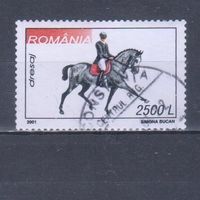 [74] Румыния 2001. Конный спорт.Лошади на почтовых марках.2500 л. Гашеная марка.