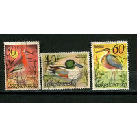 Чехословацкая Социалистическая Республика - 1967 - Птицы - 3 марки. Гашеные.  (Лот 22JE)-TG2P5