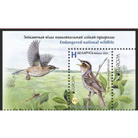 Вертлявая камышевка (ЕВРОПА) + купон Фауна Птица Беларусь 2021**