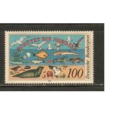 Германия(ФРГ)-1990(Мих.1454) , ** , Морская Фауна, Рыбы, (одиночка)
