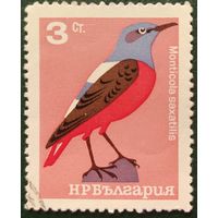 Болгария 1965 птица 1 из 8, клей.