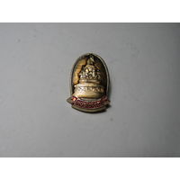 Значок. Новгород.