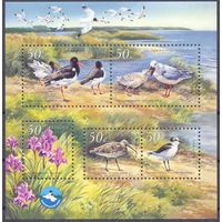 Украина черноморский биосферный заповедник фауна птицы