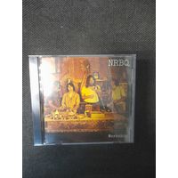 NRBQ  " WORKSHOP" CD 1972