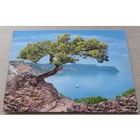 Посткроссинг. Открытка из РФ: пейзаж  (10х15). Прошла почту. Издательство "Марка". Художественная марка, чёткий штемпель.