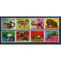 Парагвай - 1975 - Фауна - сцепка - (хранились в сложенном виде) - [Mi. 2664-2671] - полная серия - 8 марок. MNH.  (Лот 42Jo)-T4P29