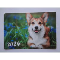 Календарик 2024 г. Вельш-корги.