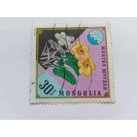Марки  Цветы  Монголия   1974  1 шт. -  0,50 руб.