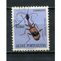 Португальские колонии - Гвинея - 1953 - Насекомые 10Е - [Mi.290] - 1 марка. Гашеная.  (Лот 46HU)-TG3P21