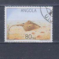 [698] Ангола 1992. Фауна.Рыба. Концовка серии. Гашеная марка.