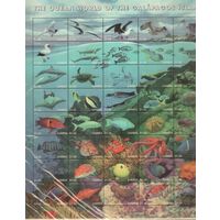 Гамбия-1999(Мих.3296-3334),  ** ,  Морская  Фауна ,Рыбы Раки, Птицы(полная серия), лист (40 марок)