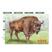 Карманный календарик. "Европейский зубр" з.7807-25. 2026 год