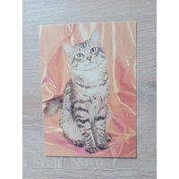 Календарик 1993