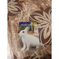 Календарик,кролик,2011