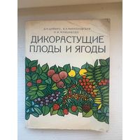 Дикорастущие плоды и ягоды
