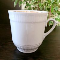 Кружка,  Городница.