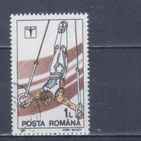 [746] Румыния 1991. Спорт.Мужская гимнастика. Гашеная марка.
