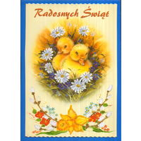 Подписанная открытка Польша "Пасха. Утята"