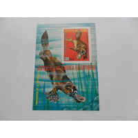 Экваториальная Гвинея. Фауна