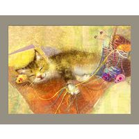 Открытка. Фауна. Животные. Кот. Котик. Сон. Клубочки. Художник Ек. Бабок (чистая)