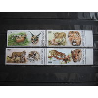 Буркина - Фасо.  Хищные кошачьи, 1996 г. красивая полная серия с полем. 2 фото. см. условие.