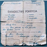 Свидетельство о вязке жеребца (?). Польша. Зап.Беларусь. Новогрудская гмина. 1935 г.