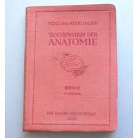 Книга по анатомии Taschenbusch der ANATOMIE 1956 год