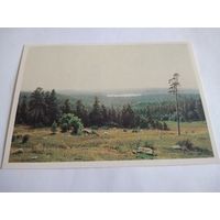Открытка 1989г. И. Шишкин. Лесные дали.