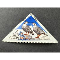 1973 СССР. Животный мир - Природные заповедники СССР. Кавказский улар