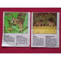 Вкладыши звери