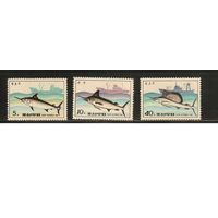 КНДР-1984(Мих.2486-2488) , **  , Морская  Фауна , Рыбы, Корабли (полная серия)