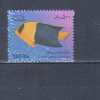 [34] Иран 2009. Фауна.Рыба.500 р. БЕЗ КЛЕЯ.