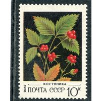СССР 1982. Флора. Ягоды. Костяника