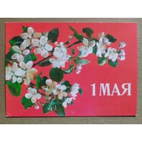 V Дергилев 1988 1 Мая! чистая