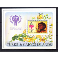 1979 Острова Теркс и Кайкос. Международный год ребёнка