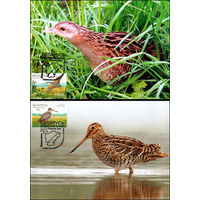 Природа заповедника "Чапкяляй" и заказника "Котра" 2007 год Беларусь 2 картмаксимума