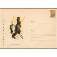 Художественный маркированный конверт СССР N 4637A (05.05.1967) Пушные звери СССР  Соболь