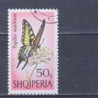 [1154] Албания 1966. Фауна.Бабочка. Гашеная марка.