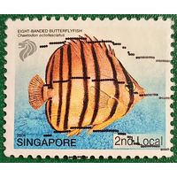 Сингапур 2004. Рыбы. Восьмиполосая рыба-бабочка