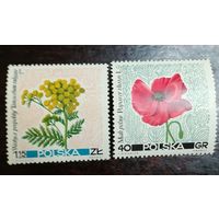 Польша 1967 Флора, цветы