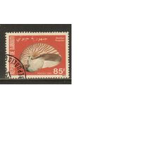 Джибути-1980(Мих.282),  гаш.,    Морская Фауна ,Раковины