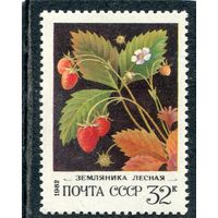 СССР 1982. Флора. Ягоды. Земляника